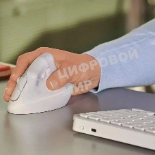 Мышь беспроводная Logitech Lift белый, 4000 dpi, радиоканал, Bluetooth, USB, кнопки - 6