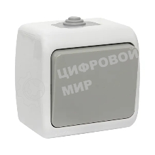 Выключатель EKF Мурманск EFV10-021-30-54 1 -клавишный 10А IP54 серый