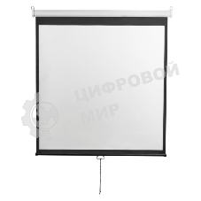 Экран настенный Digis DSOD-4303 (Optimal-D, формат 4:3, 100