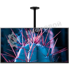 Кронштейн для телевизора Cactus CS-CP07 черный 23