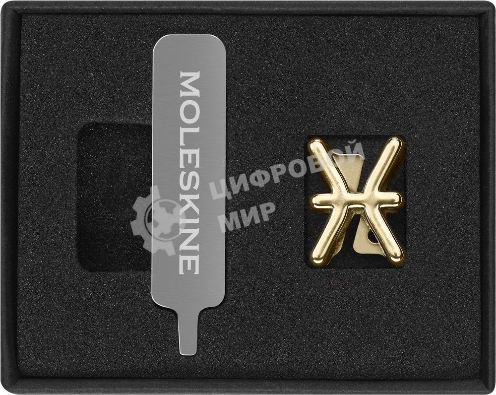 Шильд-символ Moleskine Zodiac Рыбы, металл, золотистый, коробка с европодвесом, PINPISCESGOLD
