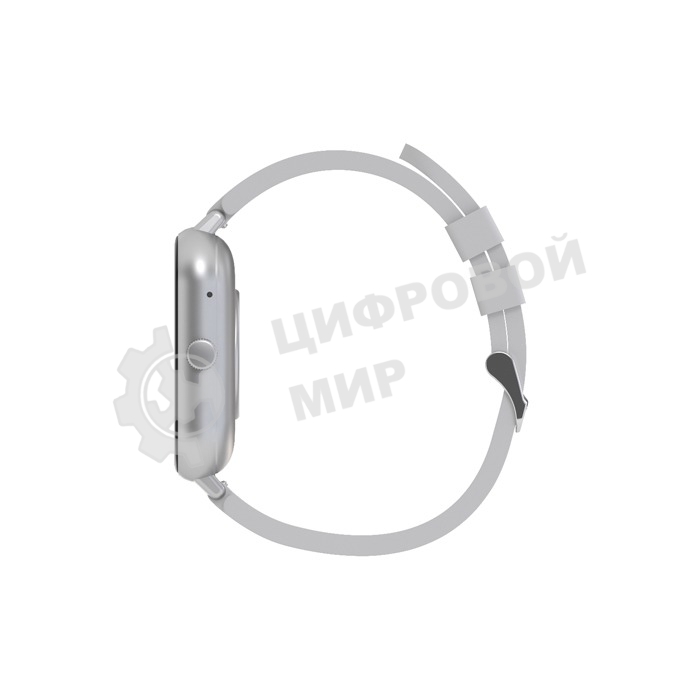 Умные часы Maxvi SW-02 grey