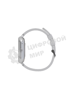 Умные часы Maxvi SW-02 grey