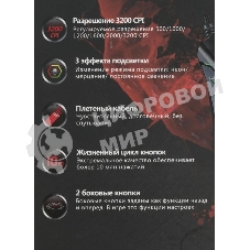 Мышь проводная A4Tech Bloody Q81 черный, 3200 dpi, USB, кнопки - 8