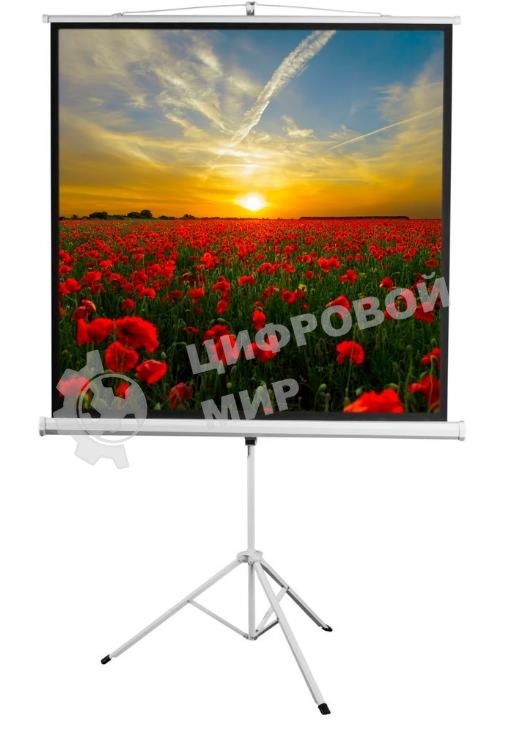 Экран 172x172см Digis Kontur-D DSKD-1104 1:1 напольный рулонный