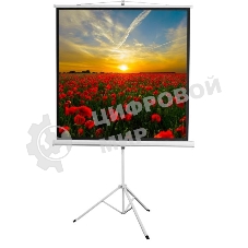 Экран 172x172см Digis Kontur-D DSKD-1104 1:1 напольный рулонный