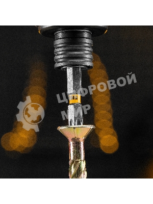 Набор бит Denzel TORX 40х50, сталь S2, шестигранный профиль, 10 шт.