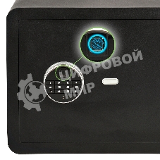 Сейф мебельный Cactus CS-SF-F50 500x350x350мм электронный