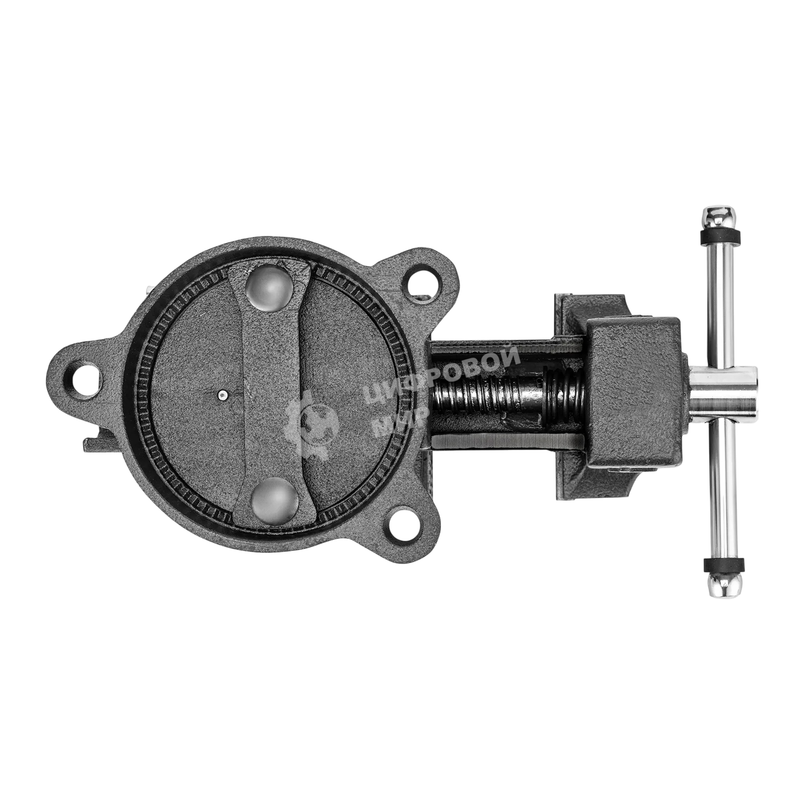 Тиски слесарные Denzel BVH-100 100 мм, поворотные, стальная направляющая, с наковальней