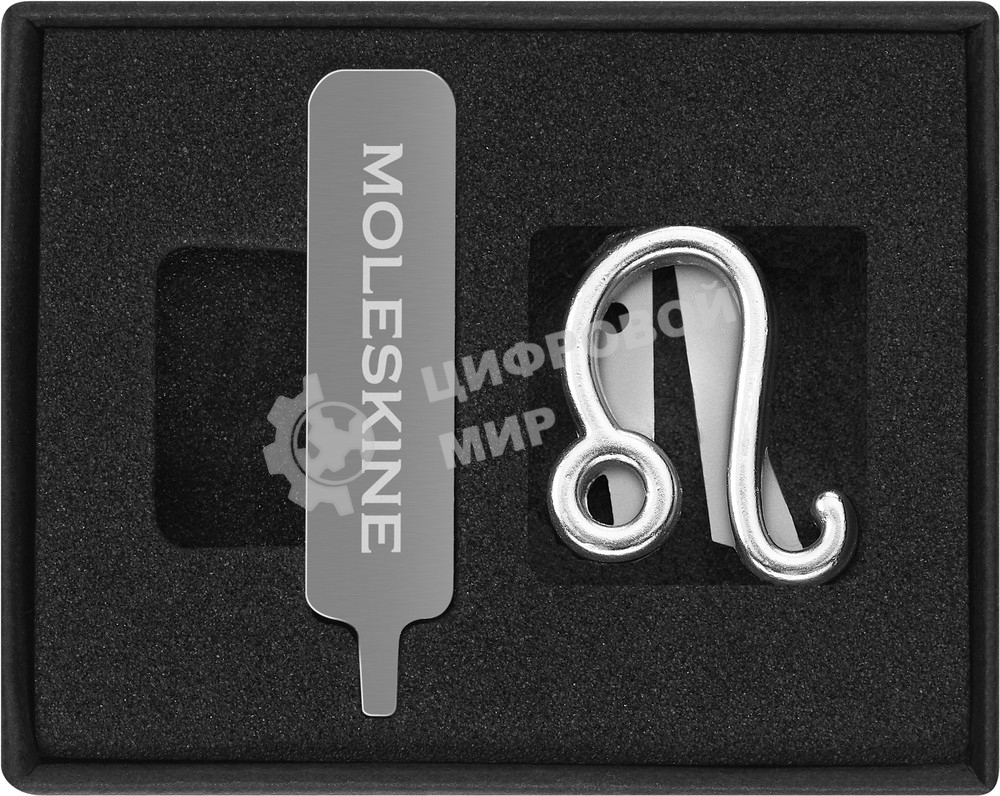 Шильд-символ Moleskine Zodiac Лев, металл, серебристый, коробка с европодвесом, PINLEOSILV