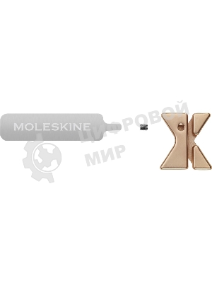 Шильд-символ Moleskine Zodiac Козерог, металл, золотистый, коробка с европодвесом, PINCAPRICORNGOLD