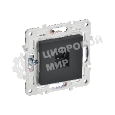 Розетка компьютерная IEK SKANDY SK-K01G графит RJ45 кат.5E SK-K10-1-K53