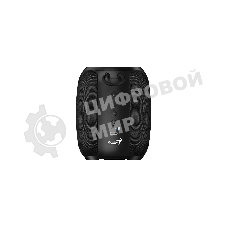 Портативная колонка Genius SP-915BT/1200 мА·ч/5 Вт/Bluetooth 5.3/до 6 ч.воспроизведения/USB-C/черный (31730052400)