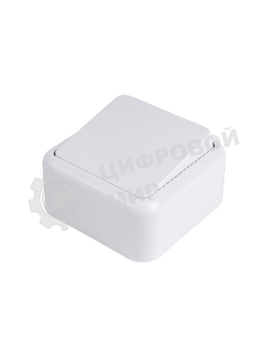 Выключатель Беларусь одноклавишный наружный