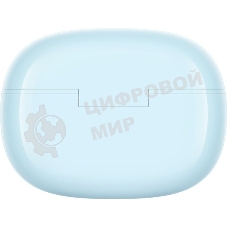 Гарнитура внутриканальные Realme Buds T200x синий беспроводные bluetooth в ушной раковине (6941764467675)