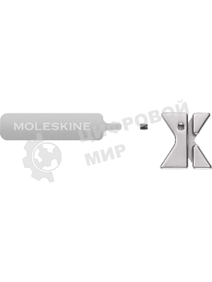 Шильд-символ Moleskine Zodiac Водолей, металл, серебристый, коробка с европодвесом, PINAQUARIUSSILV