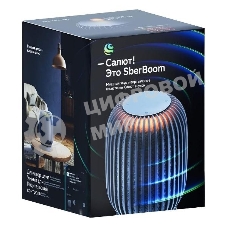 Умная колонка SBER Boom SBDV-00090, 40 Вт, с голосовым ассистентом Салют, темно-серый (SBDV-00090s)