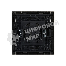 Розетка IEK FORTE&PIANO FP518 без заземления винтовое крепление 10А сталь