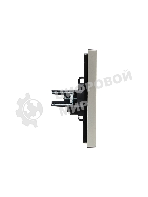 Розетка IEK FORTE&PIANO FP518 без заземления винтовое крепление 10А сталь