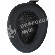 Гарнитура JLab JBuds Lux ANC Duo Graphite чёрный, беспроводная, Bluetooth/радиоканал/USB-C, ANC, до 40 ч (70 ч без ANC)