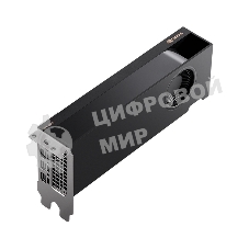 Видеокарта NVIDIA RTX A2000 Graphics Cards (ATX installed, LP included) 12GB, Bulk Packing