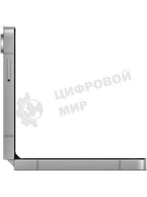 Смартфон Samsung Galaxy Z Flip 6 5G, 12/256Gb, серый