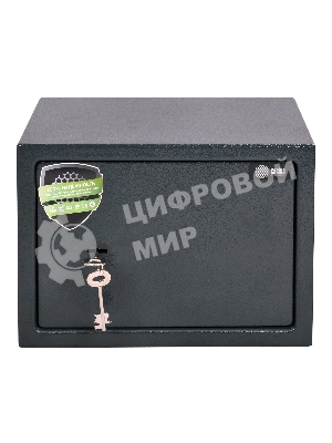 Сейф мебельный Cactus CS-SF-K25 250x350x250мм ключевой