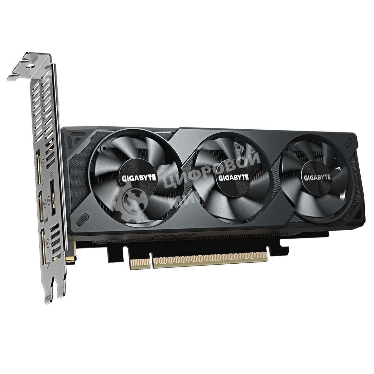 Видеокарта Gigabyte PCI-E 5.0 GV-N5060OC-8GL 1.0 NVIDIA GeForce RTX 5060 8Gb 128bit GDDR7 2512/28000 HDMIx1 DPx3 HDCP Ret low profile