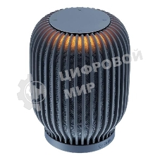 Умная колонка SBER Boom SBDV-00090, 40 Вт, с голосовым ассистентом Салют, темно-серый (SBDV-00090s)