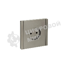 Розетка IEK FORTE&PIANO FP518 без заземления винтовое крепление 10А сталь