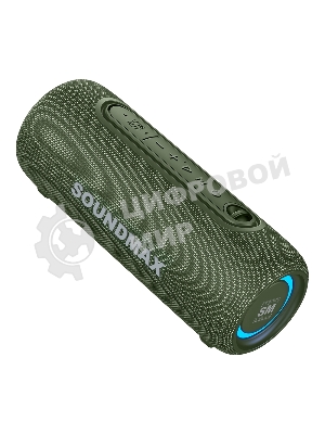Портативная колонка Soundmax SM-PS5026B зеленый