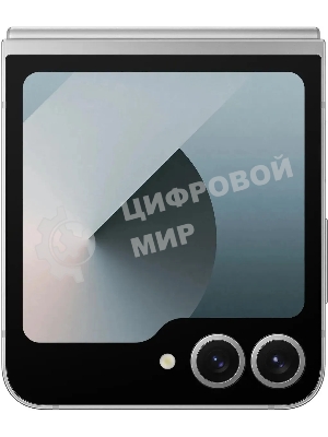 Смартфон Samsung Galaxy Z Flip 6 5G, 12/256Gb, серый
