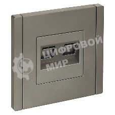 Розетка компьютерная IEK FORTE&PIANO FP533 2-ая RJ45 кат.5E сталь