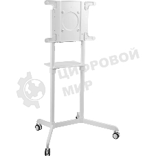 Стойка для телевизора Cactus CS-ST1146WT белый, 37