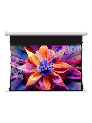 Экран для проектора S'OK SCPSMT-221x125ED30-GR 100 