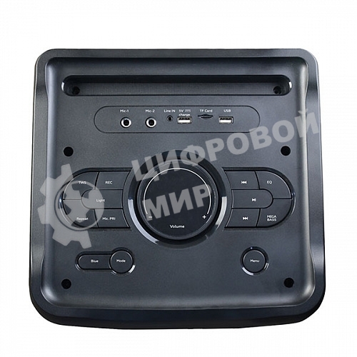 Портативная акустика BQ PBS2005 черный 100 Вт