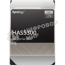 Жесткий диск Synology HAS5300-12T SAS 12TB 7200RPM 12Gb/S 256MB