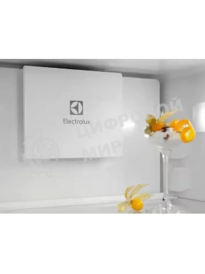 Холодильник Electrolux ENT6ME19S 2-хкамерн.