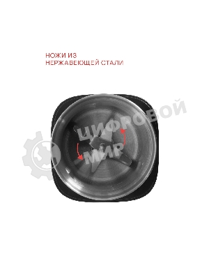 Кофемолка SUPRA CGS-320 300 Вт, 80 г, серебристый