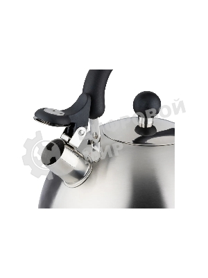 Чайник для плиты MALLONY GRANDE 5 л (985619)