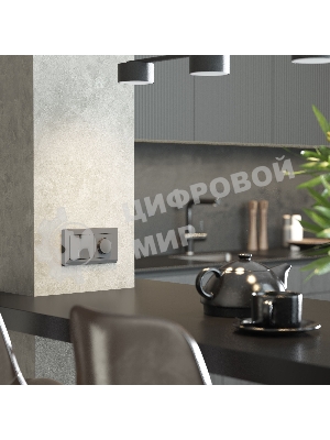 Рамка на 2 поста WERKEL Stark (графит матовый) W0021864