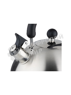 Чайник для плиты MALLONY GRANDE 5 л (985619)