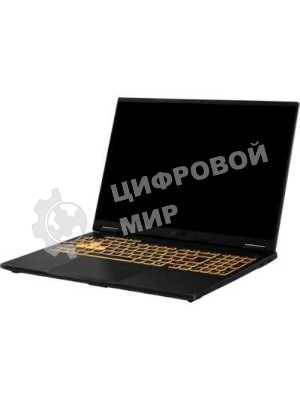 Ноутбук ASUS TUF Gaming F16 FX608JMR-RV114 Intel Core i7 14650HX 2200MHz/16