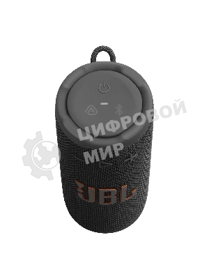 Портативная акустика JBLGRIPBLK черный