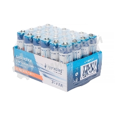 Батарейки солевые Gembird GB-R6P-24B, тип AA, 24шт, коробка