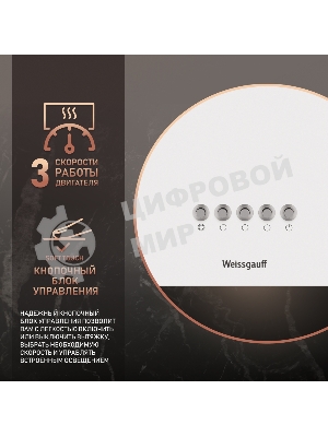 Вытяжка пристенная цилиндрическая Weissgauff Box 40 PB белый, 40 см, 900 куб. м/ч, 58 дБ