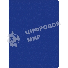 Папка с 100 прозрачными вкладками Silwerhof Eco A4, пластик, 0.7мм, синий