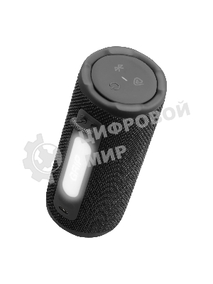 Портативная акустика JBLGRIPBLK черный