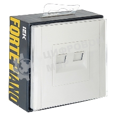 Розетка компьютерная 2-ая RJ45 кат.5E IEK FORTE&PIANO FP233 белый