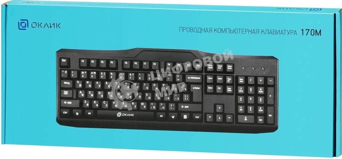 Клавиатура проводная Oklick 170M черный USB (855272)